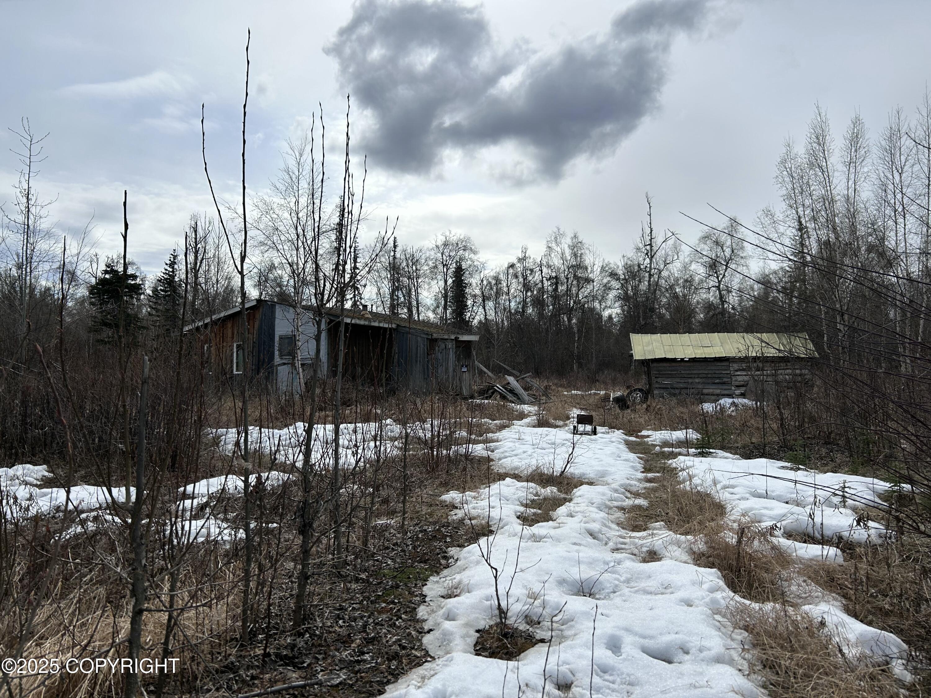 L1 & L6 Trapline, Trapper Creek, Alaska image 5