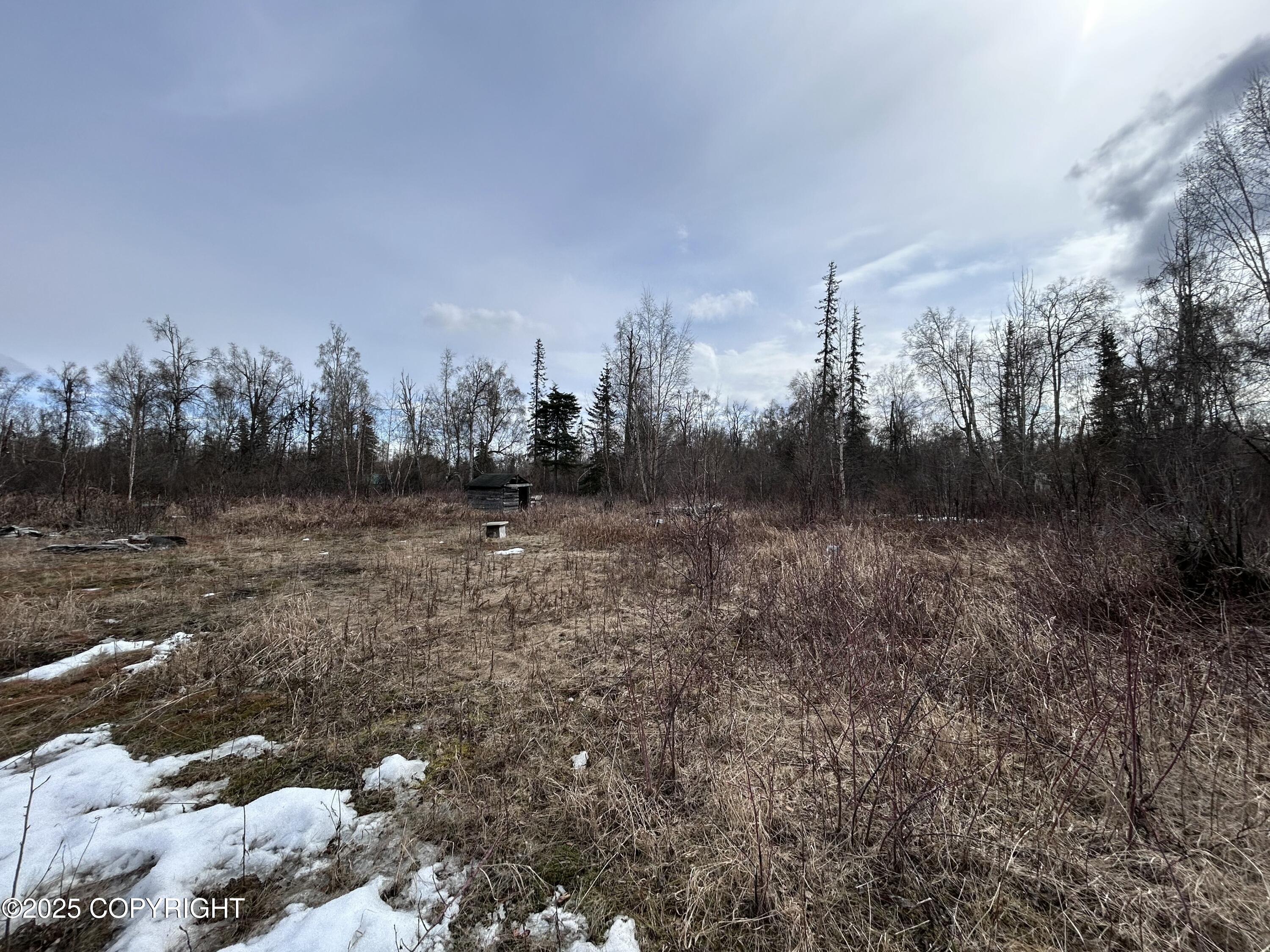 L1 & L6 Trapline, Trapper Creek, Alaska image 1