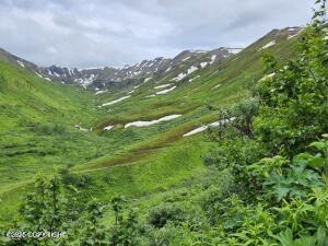 Mile 18 Willow-fishhook Road, Willow, Alaska image 14