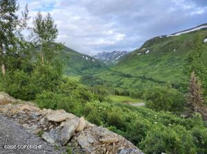 Mile 18 Willow-fishhook Road, Willow, Alaska image 13