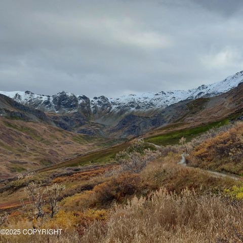 Mile 18 Willow-Fishhook Road Willow AK 99688