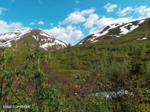 Mile 18 Willow-fishhook Road, Willow, Alaska image 7