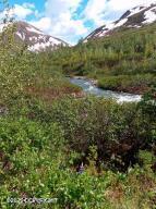 Mile 18 Willow-fishhook Road, Willow, Alaska image 19