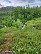 Mile 18 Willow-fishhook Road, Willow, Alaska image 9