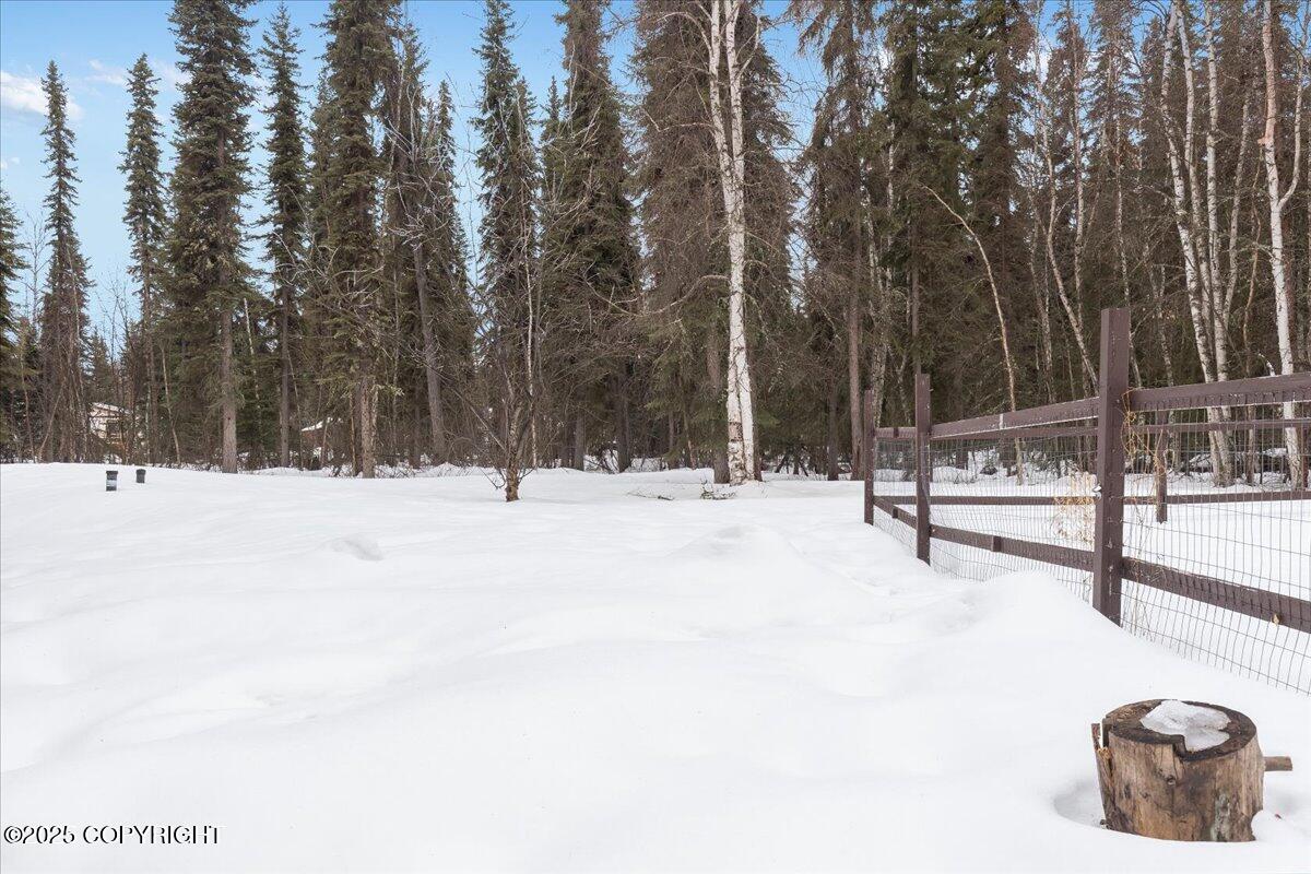 2585 SW Carrie Lynn Drive, North Pole, Alaska image 29