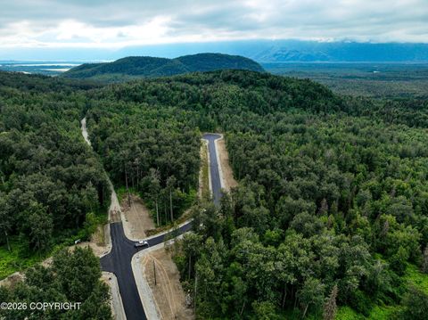 Vacant Land For Sale - L1 B2 N Springer Circle<br/> Palmer, AK 99645