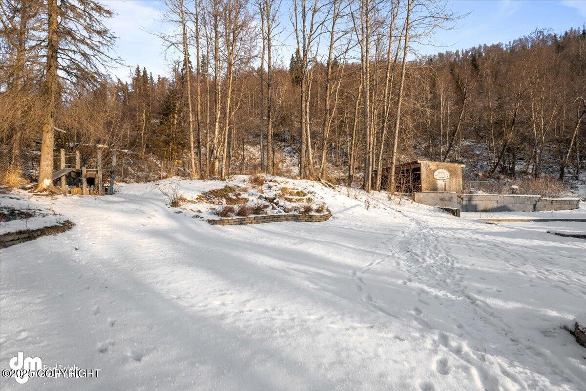 15811 W Division Street, Chugiak, Idaho image 44