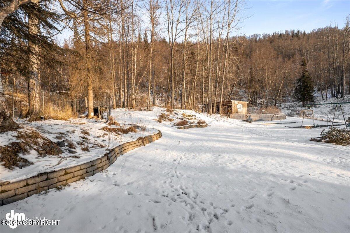 15811 W Division Street, Chugiak, Idaho image 42