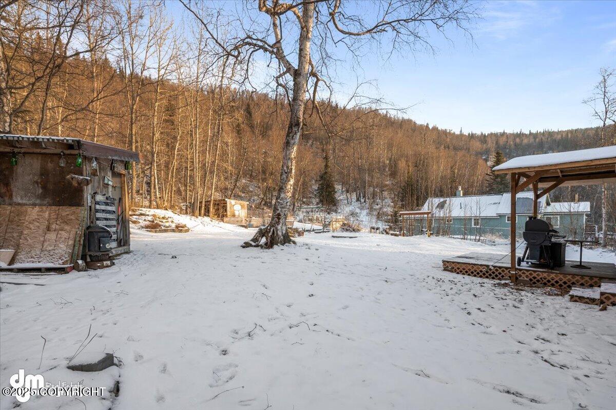 15811 W Division Street, Chugiak, Idaho image 40