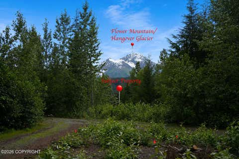 Vacant Land For Sale - LOT 20 Buckeye Lane<br/> Haines, AK 99827