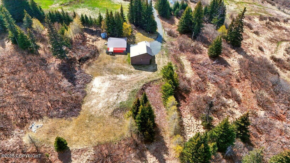 34540 Alamar, Anchor Point, Alaska image 22
