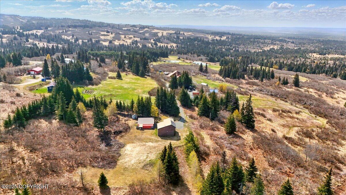 34540 Alamar, Anchor Point, Alaska image 21