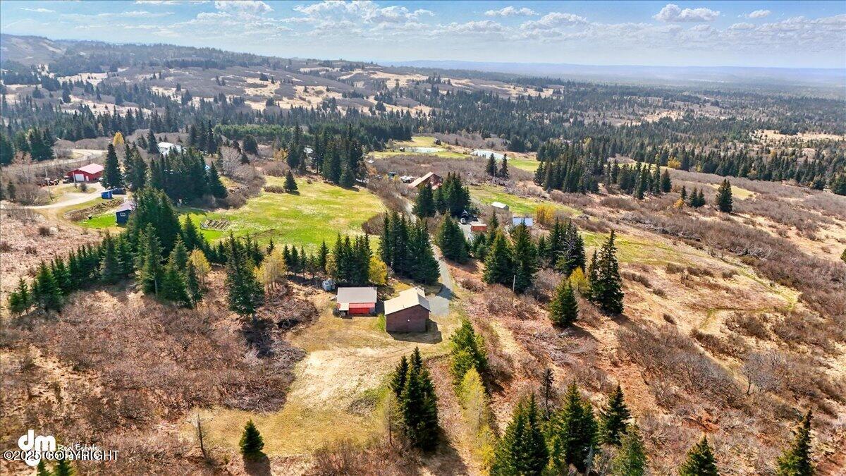 34540 Alamar, Anchor Point, Alaska image 4