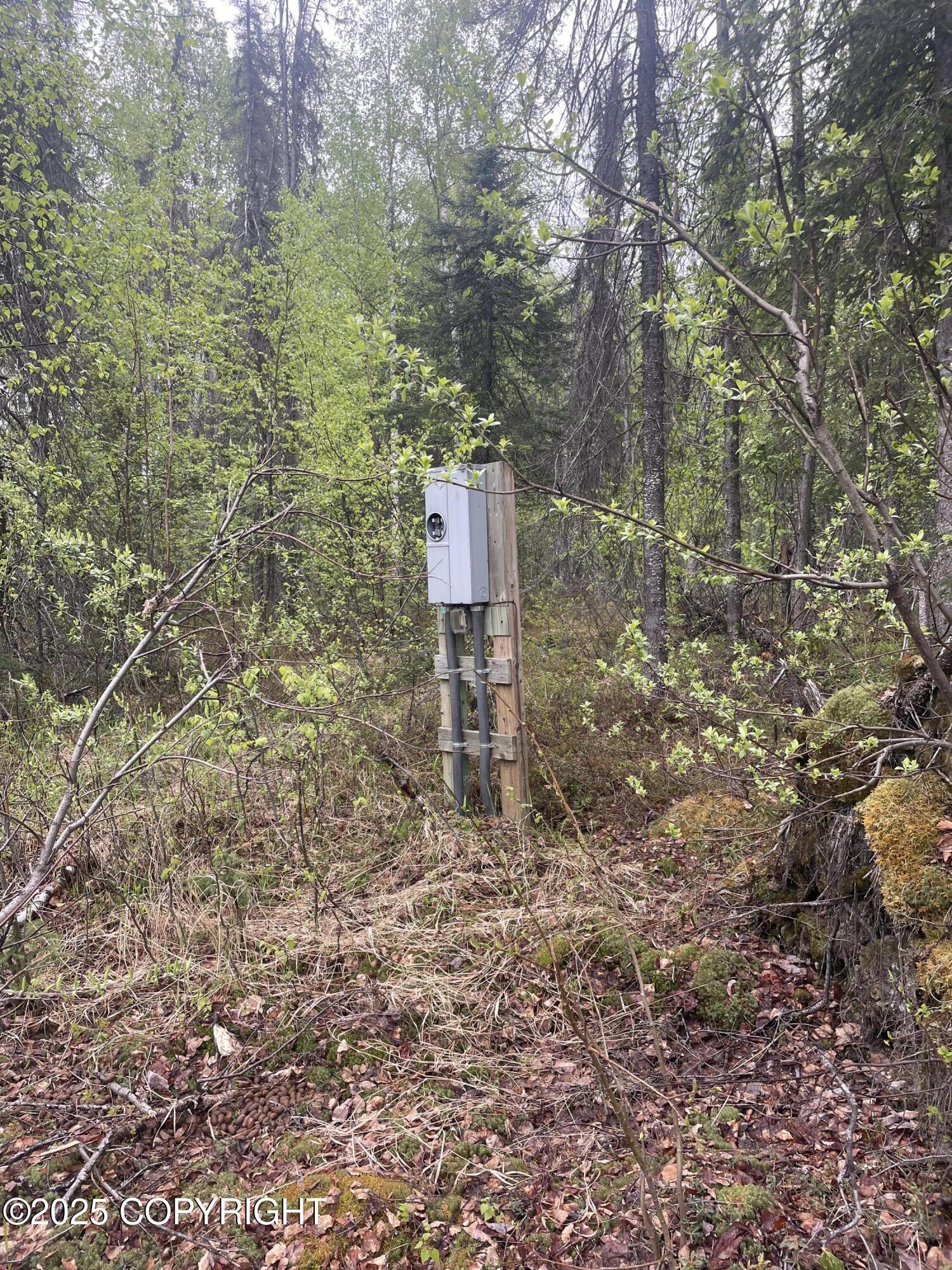 14968 Gyrfalcon Drive, Willow, Alaska image 4