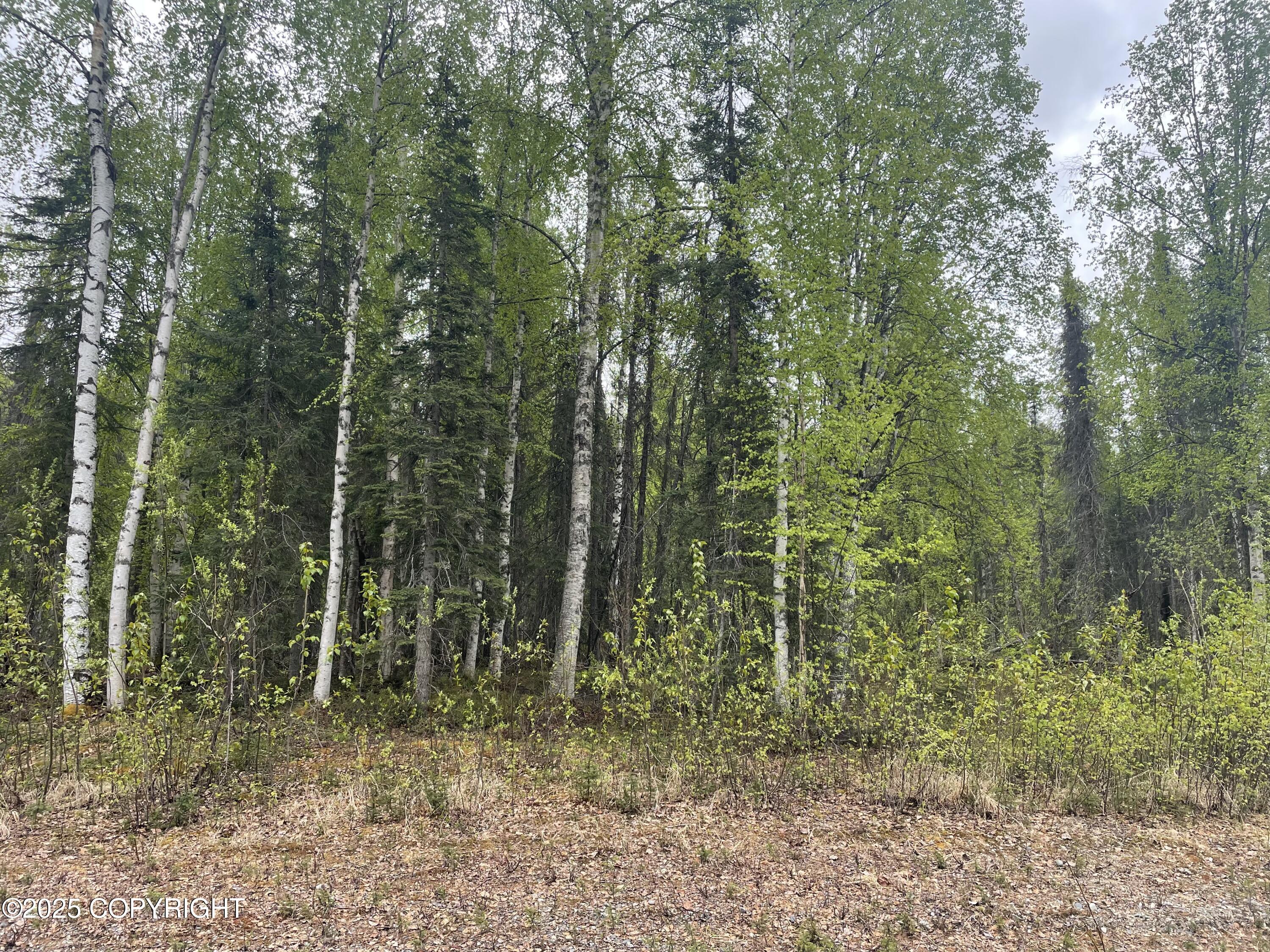 14968 Gyrfalcon Drive, Willow, Alaska image 1