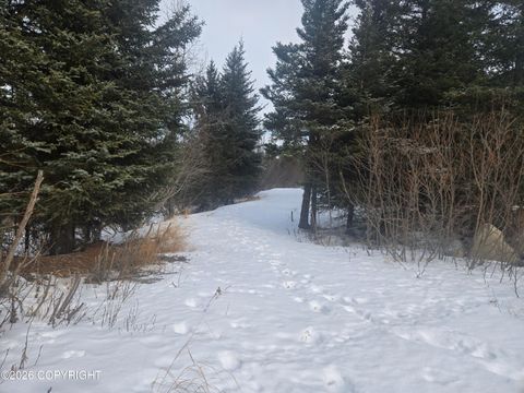 Vacant Land For Sale - 34435 Sterling Highway<br/> Anchor Point, AK 99556