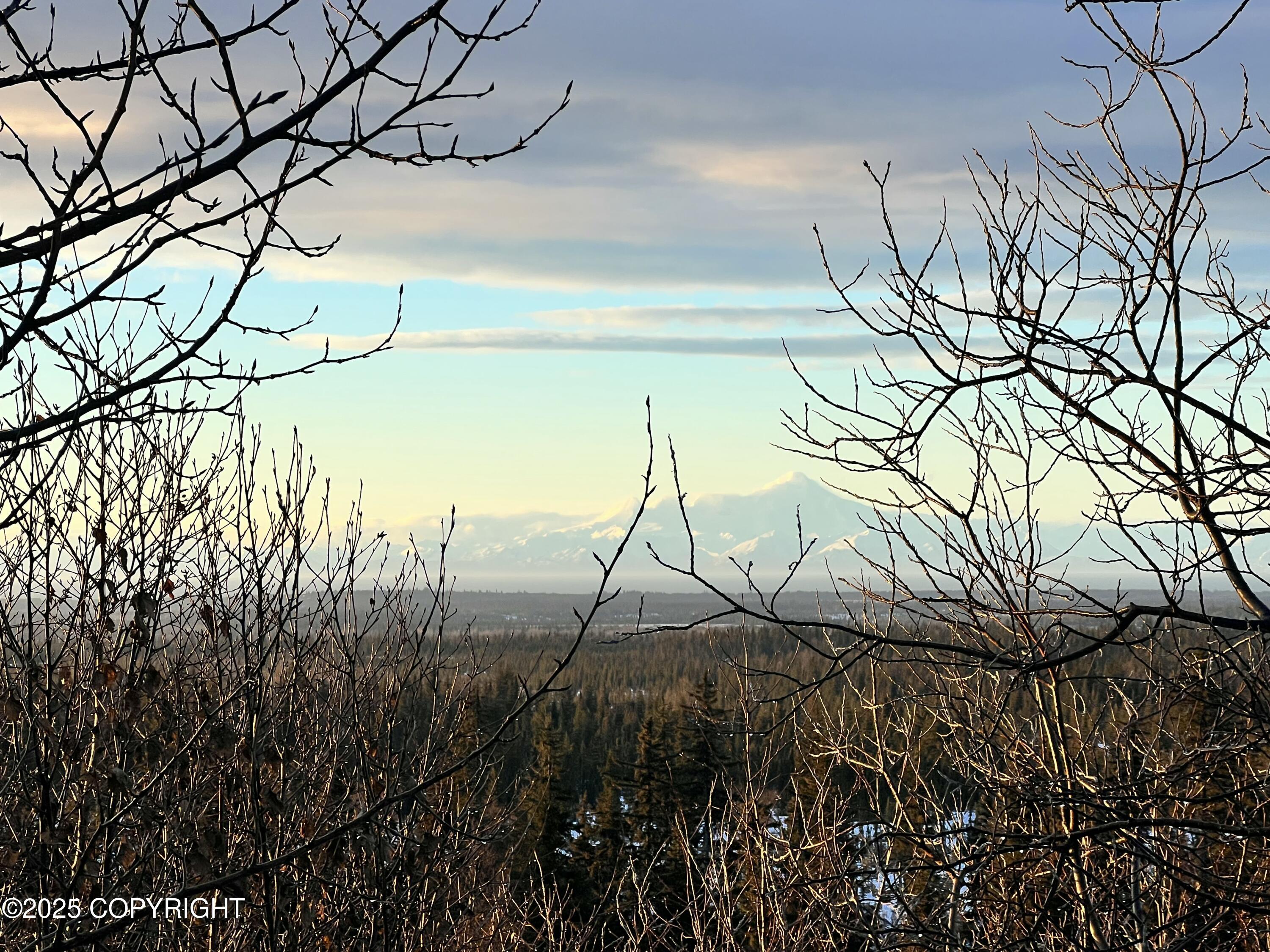 65251 N Wagon Road, Anchor Point, Idaho image 21