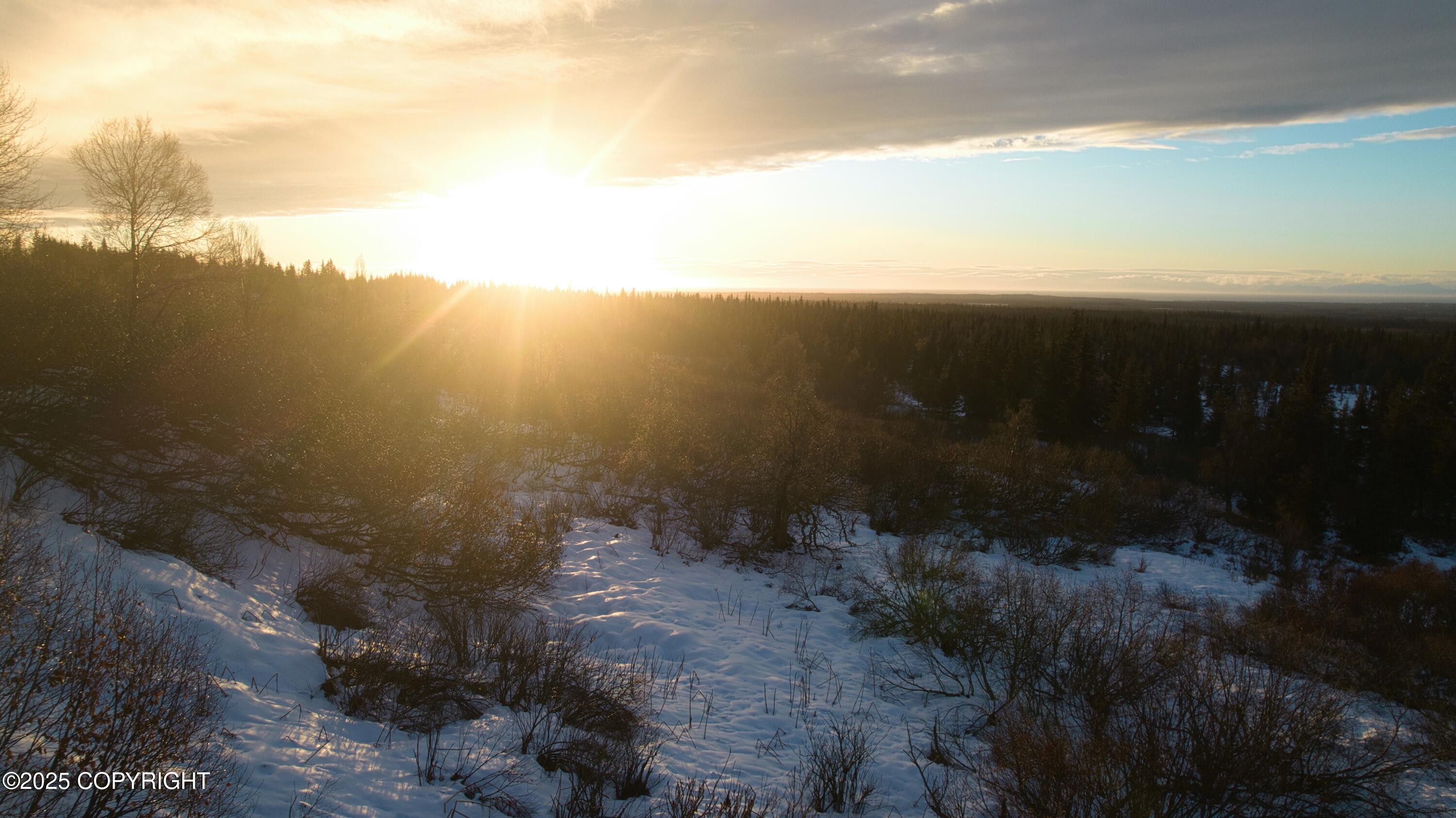 65251 N Wagon Road, Anchor Point, Idaho image 11