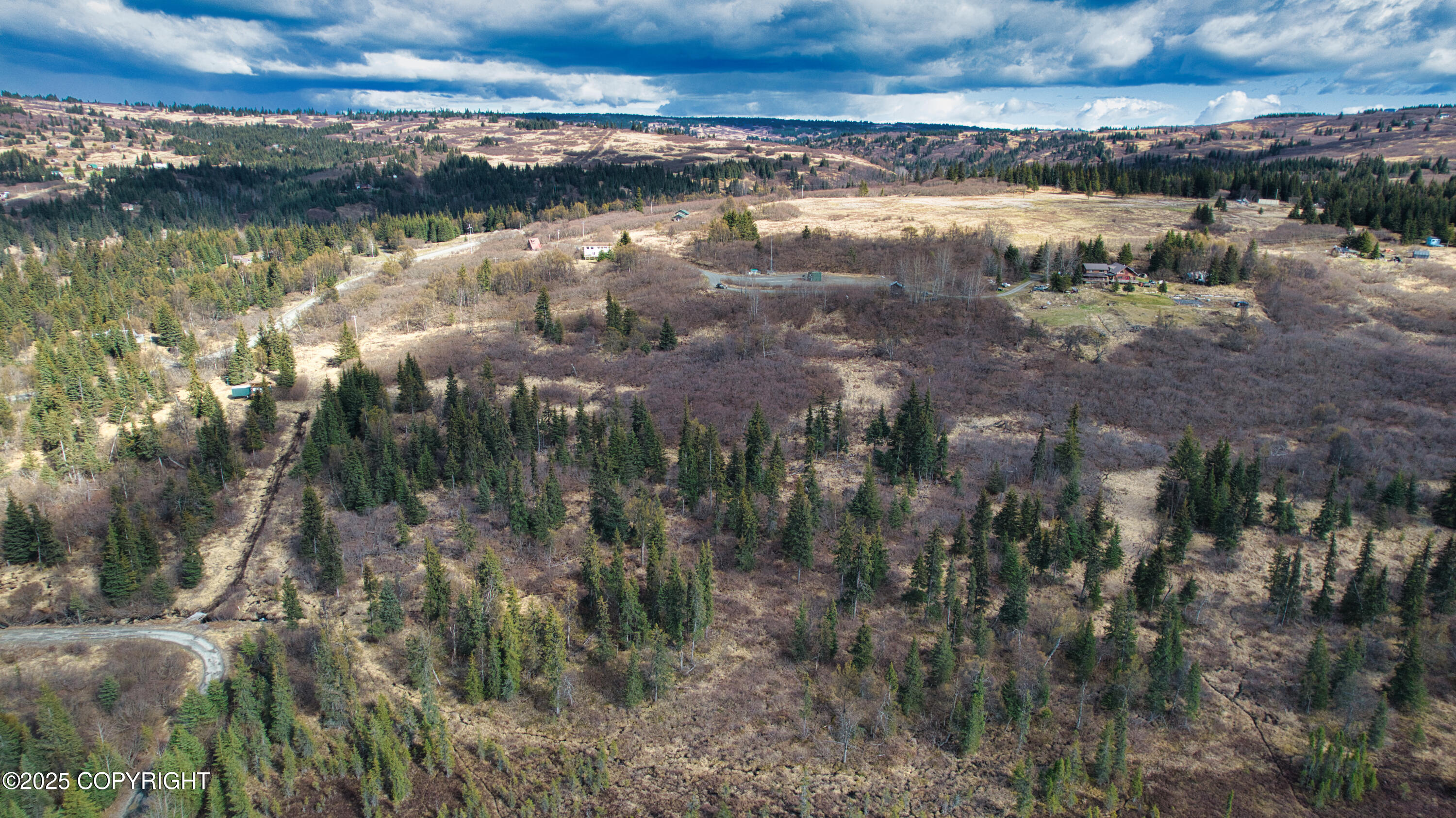 65251 N Wagon Road, Anchor Point, Idaho image 2