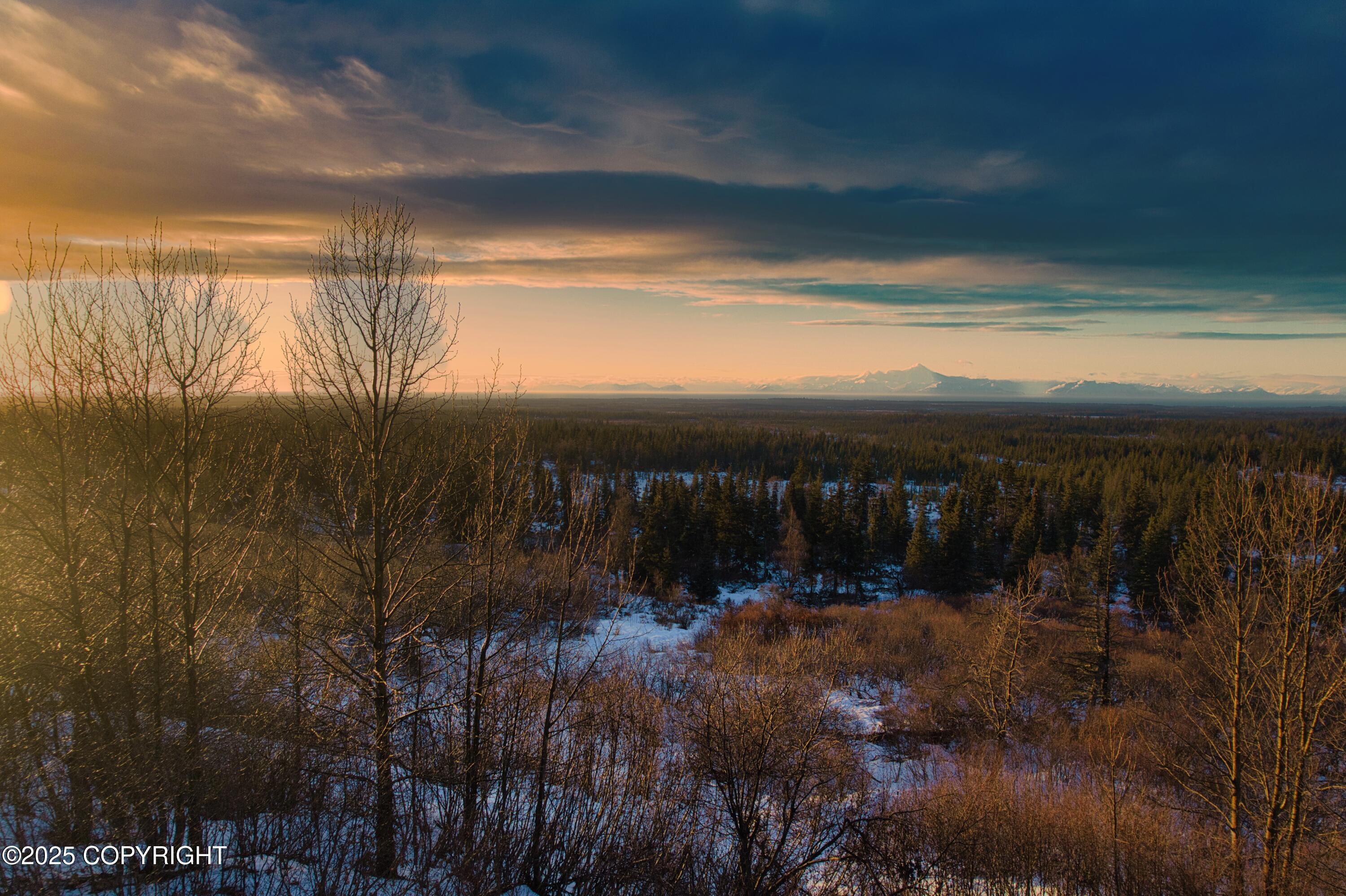 65251 N Wagon Road, Anchor Point, Idaho image 14