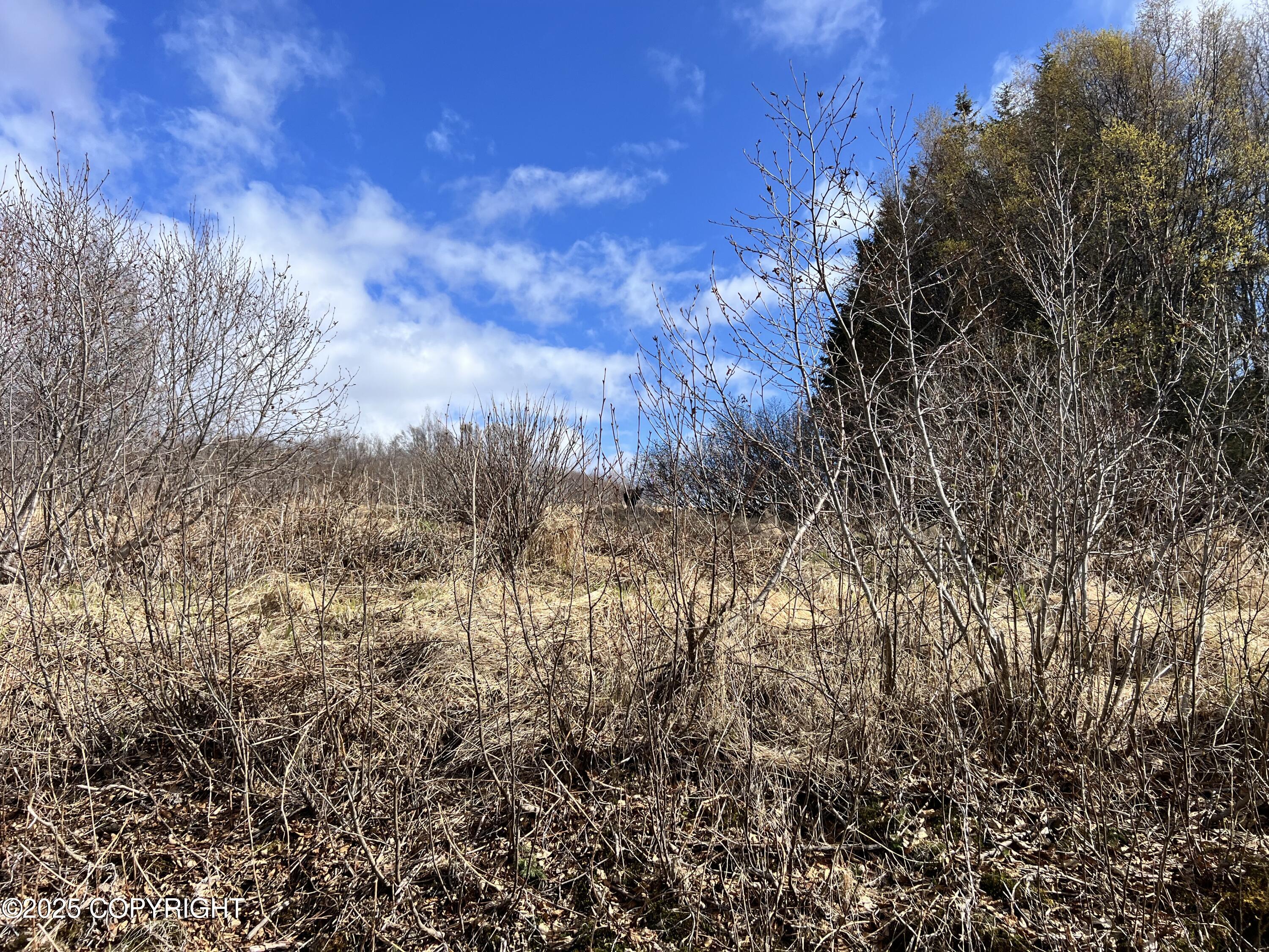 65251 N Wagon Road, Anchor Point, Idaho image 7