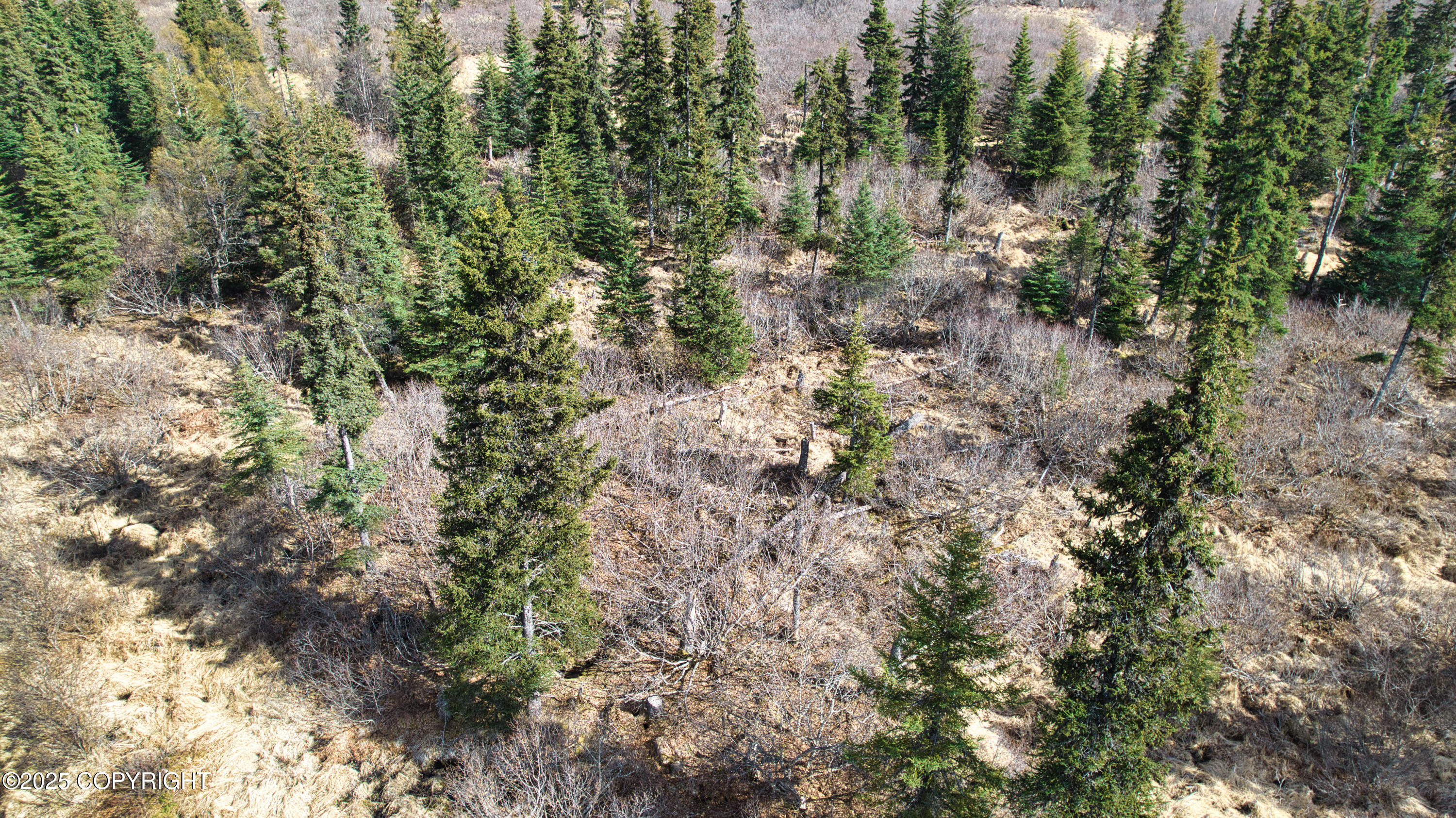 65251 N Wagon Road, Anchor Point, Idaho image 6