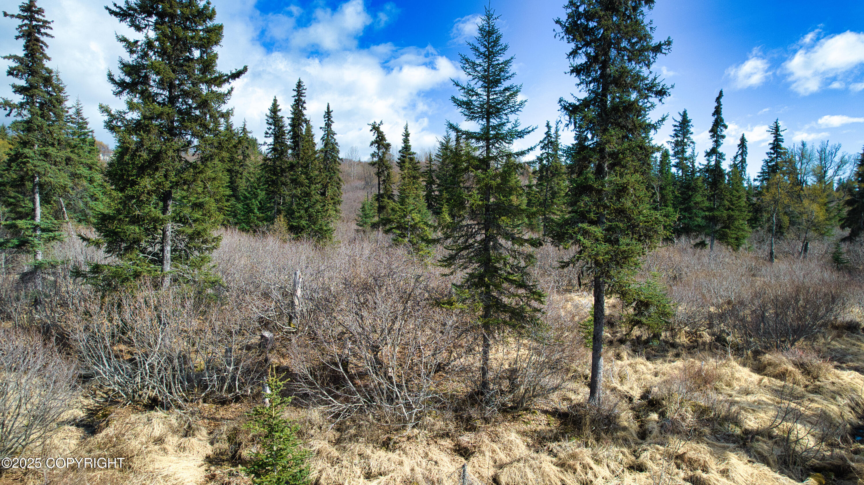 65251 N Wagon Road, Anchor Point, Idaho image 5