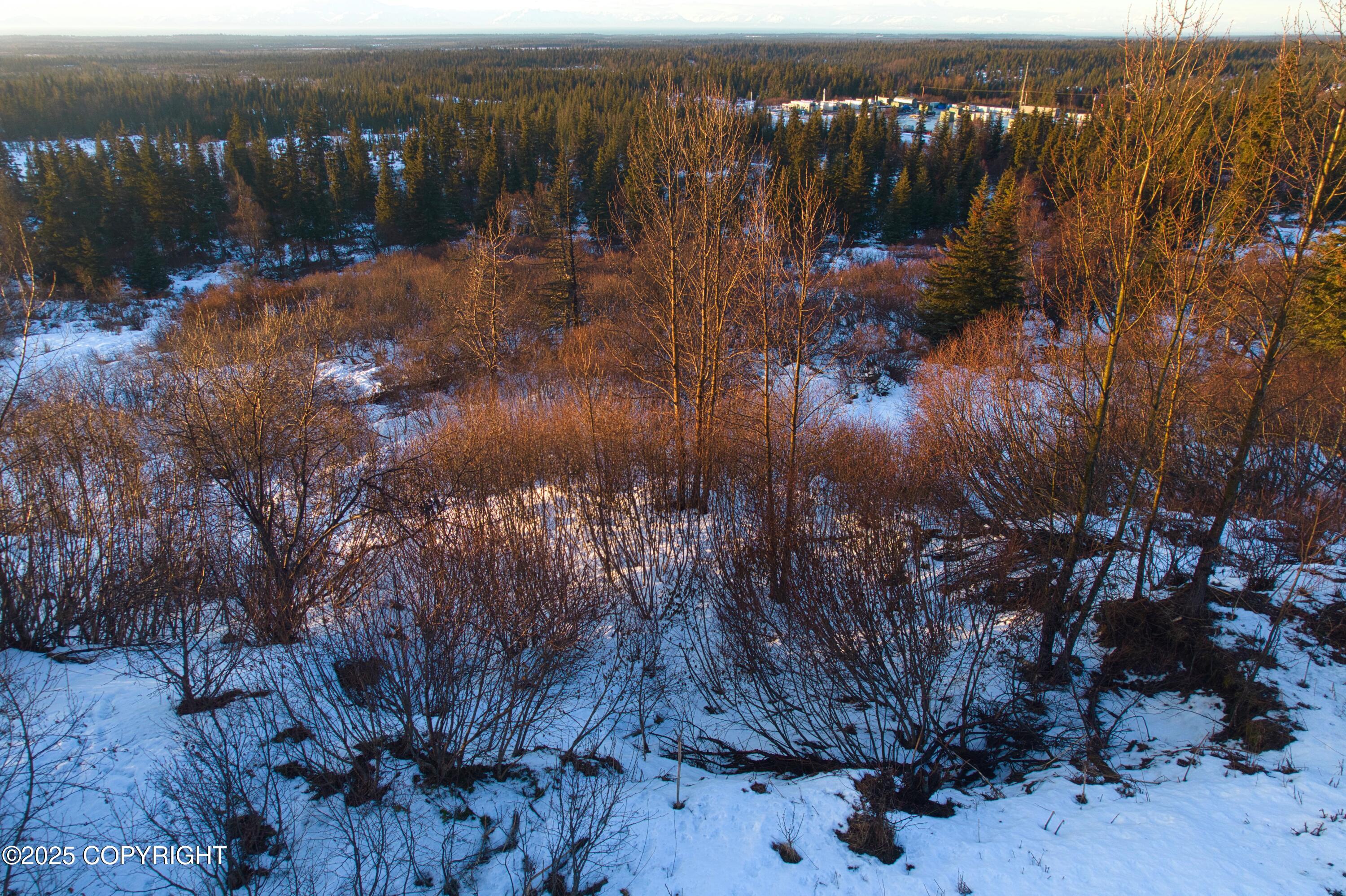 65251 N Wagon Road, Anchor Point, Idaho image 19