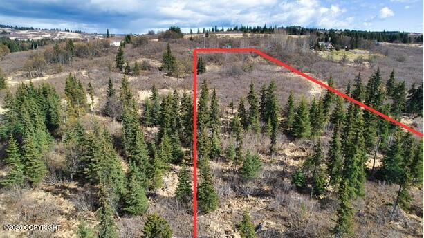 65251 N Wagon Road, Anchor Point, Idaho image 1