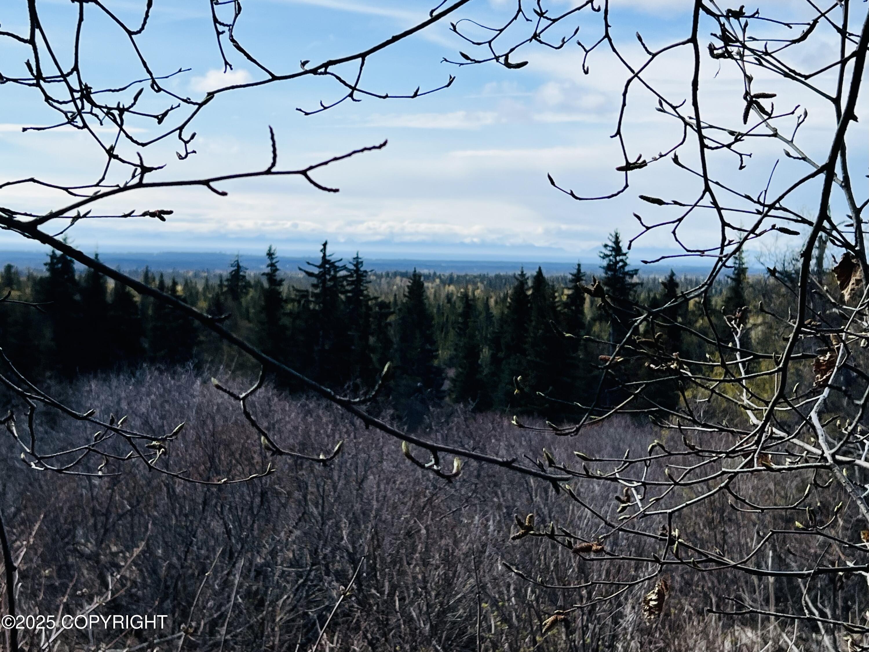 65251 N Wagon Road, Anchor Point, Idaho image 3
