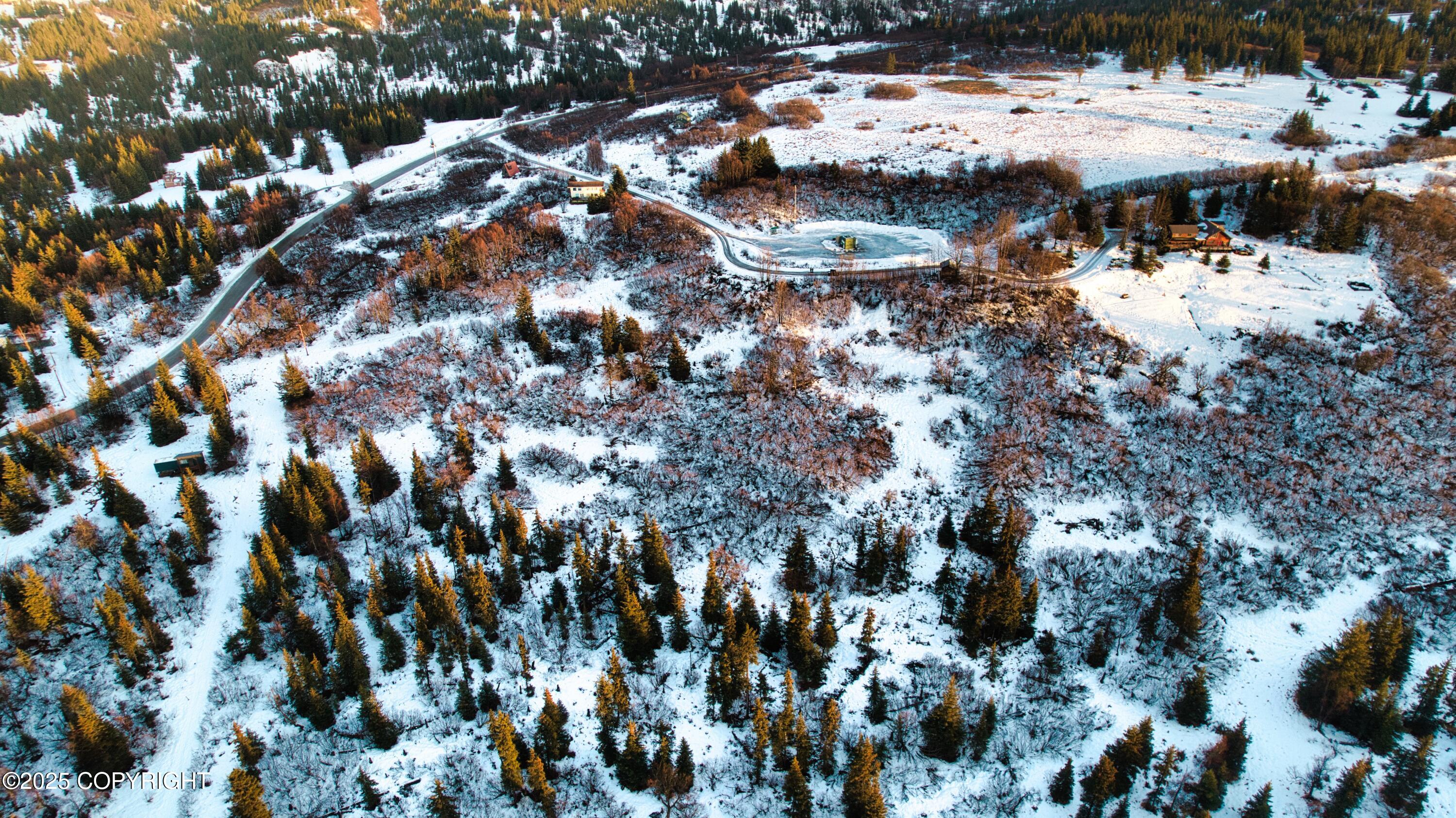 65251 N Wagon Road, Anchor Point, Idaho image 12