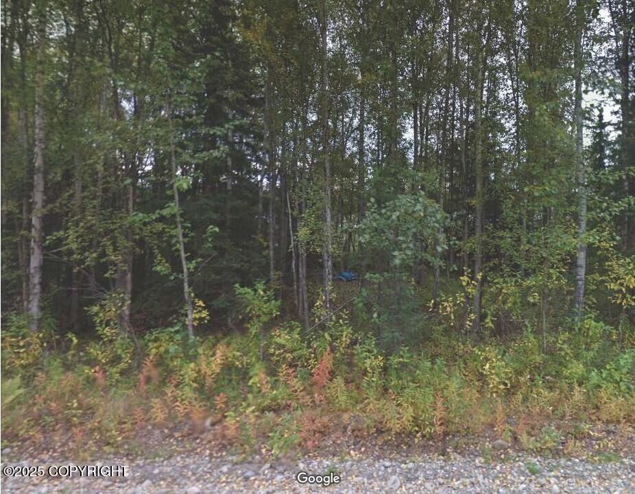 12262 W Wonderland Drive, Houston, Alaska image 2
