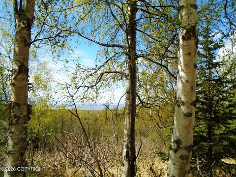 Vacant Land For Sale - L2B Goldenview Drive<br/> Anchorage, AK 99516