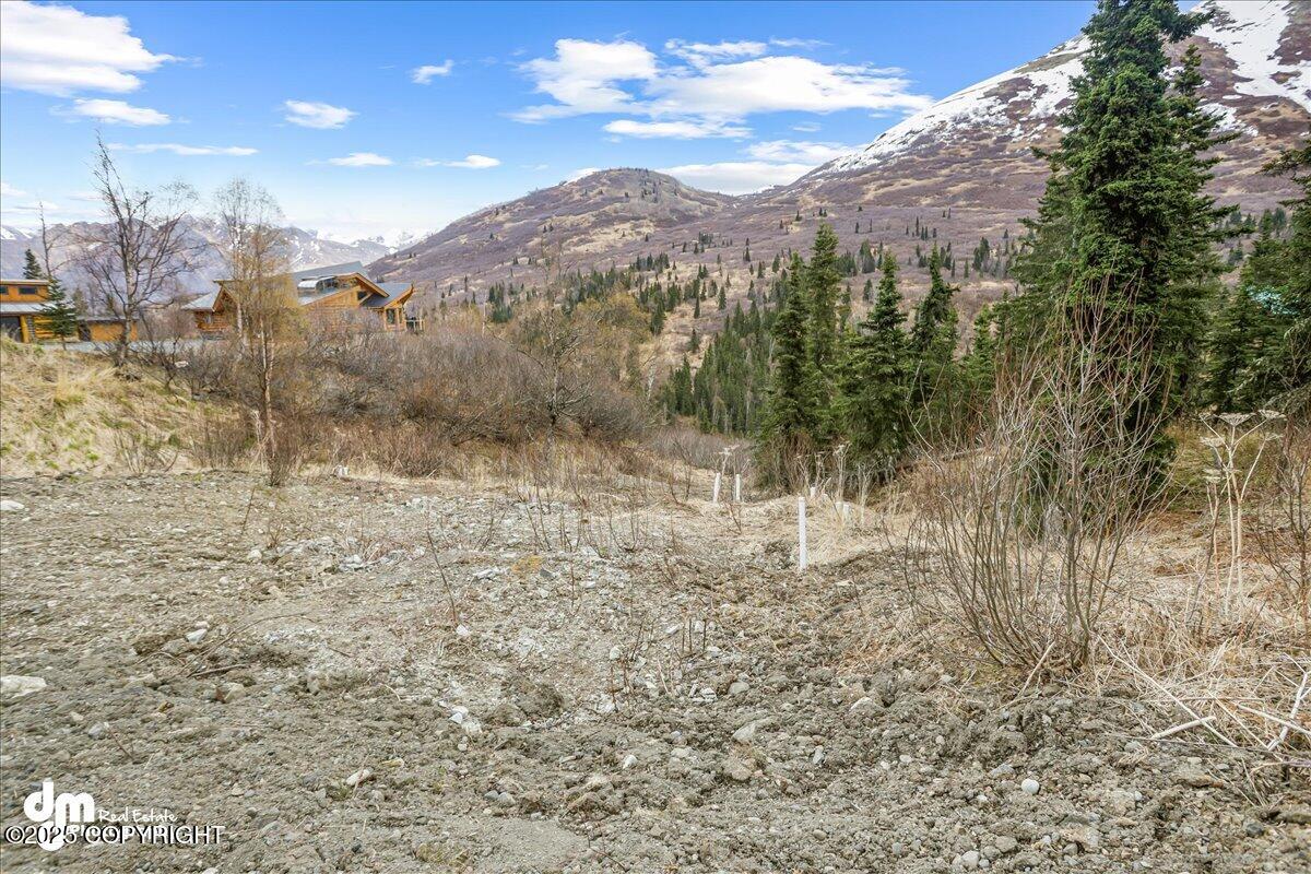 4729 Birdsong Drive, Eagle River, Alaska image 6