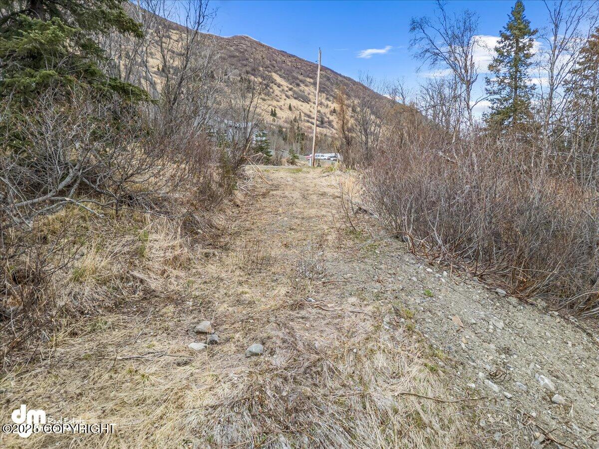 4729 Birdsong Drive, Eagle River, Alaska image 13