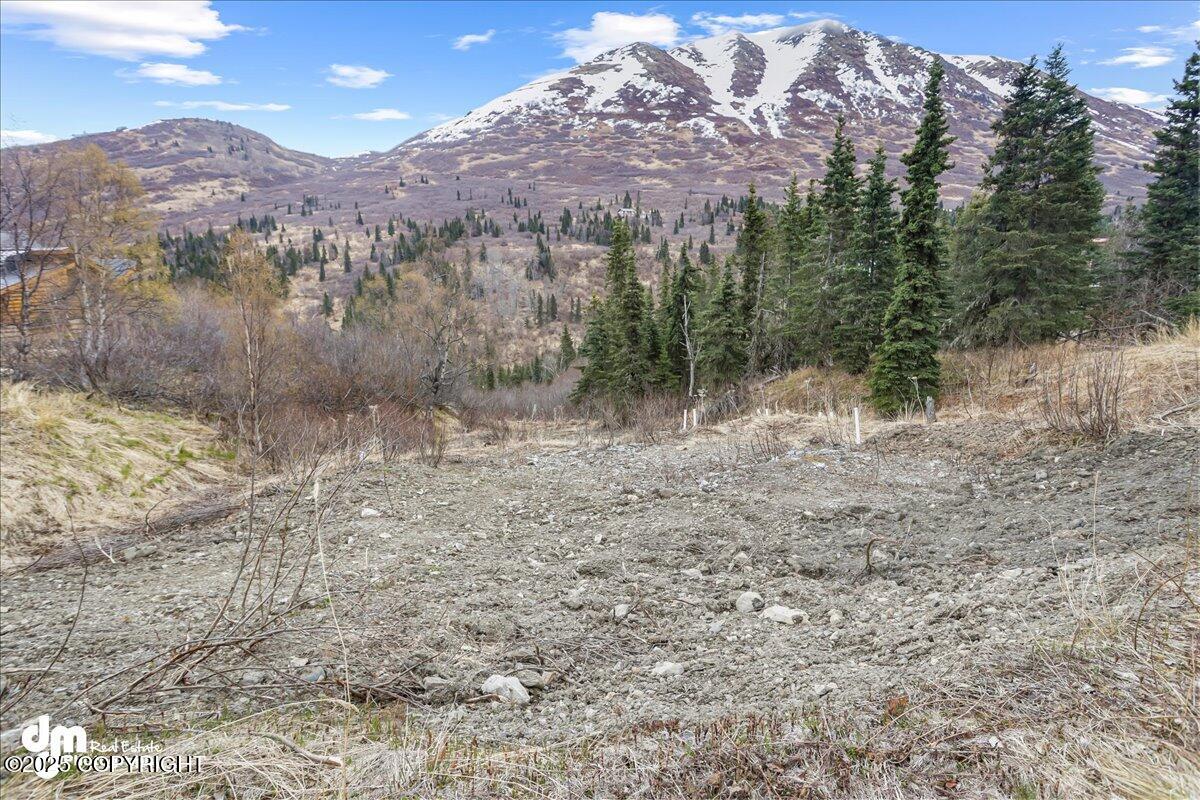 4729 Birdsong Drive, Eagle River, Alaska image 4