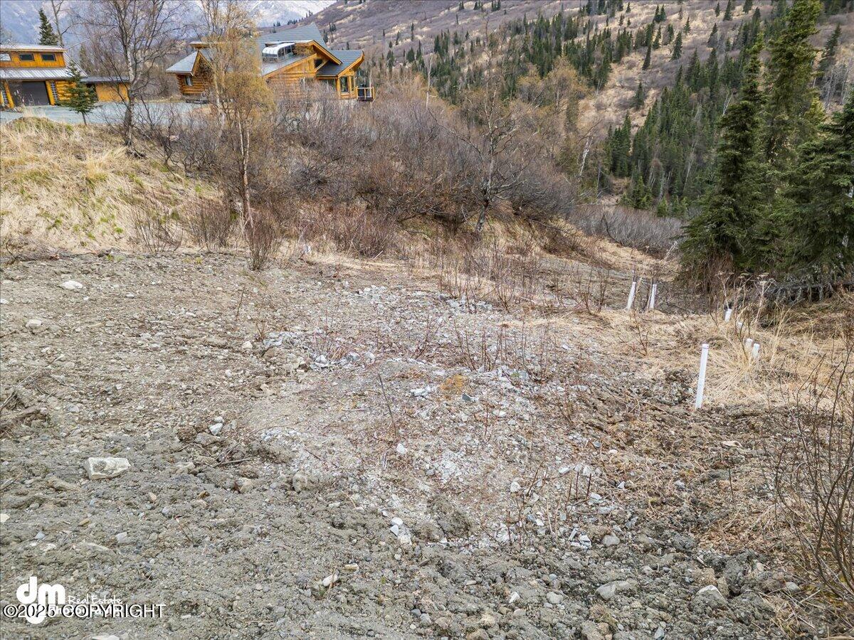 4729 Birdsong Drive, Eagle River, Alaska image 14