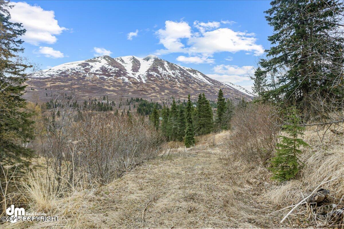 4729 Birdsong Drive, Eagle River, Alaska image 3