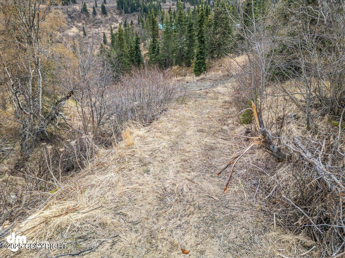 4729 Birdsong Drive, Eagle River, Alaska image 9