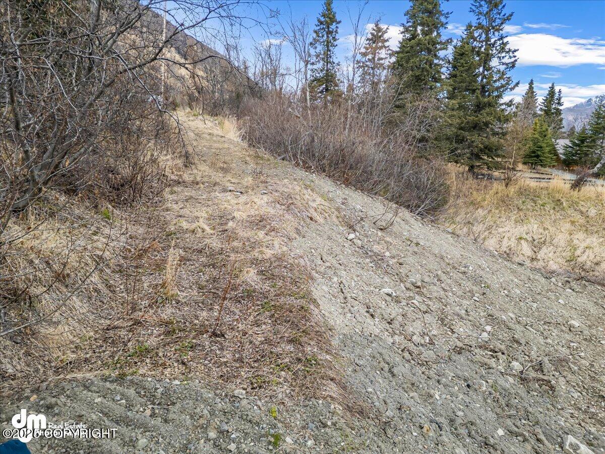 4729 Birdsong Drive, Eagle River, Alaska image 7
