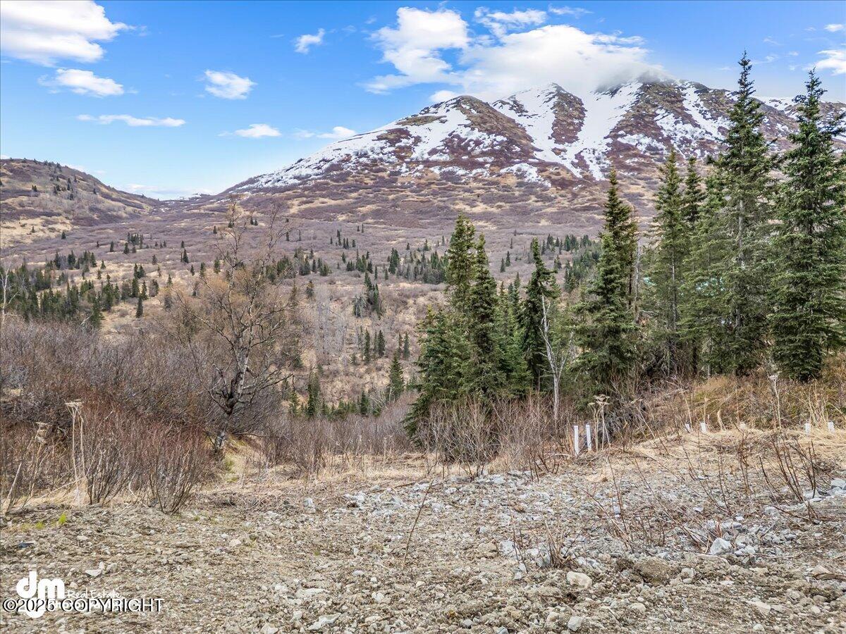 4729 Birdsong Drive, Eagle River, Alaska image 12