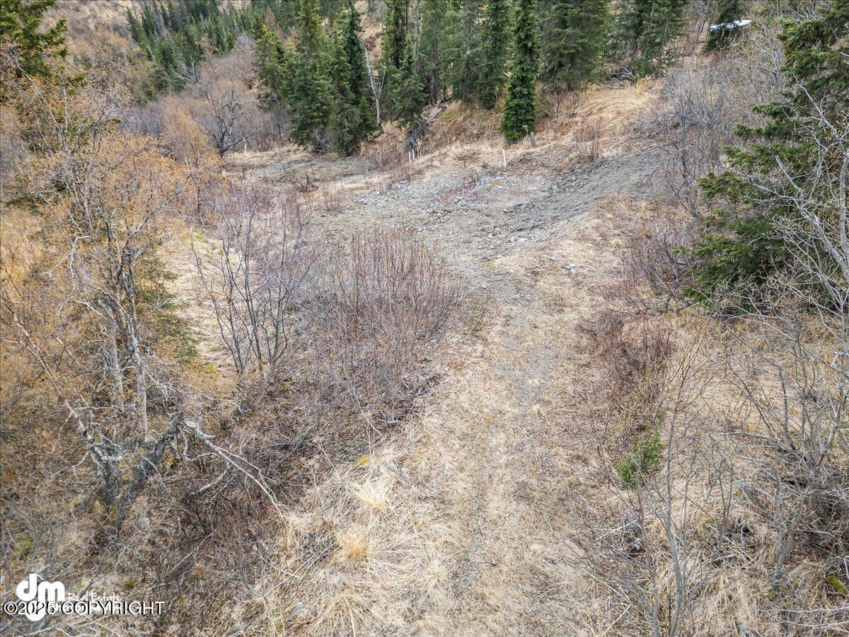 4729 Birdsong Drive, Eagle River, Alaska image 10