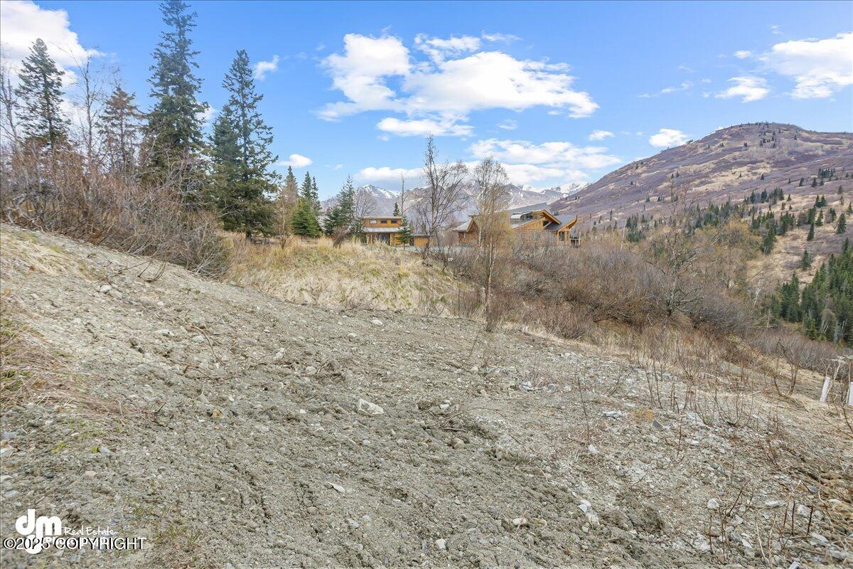 4729 Birdsong Drive, Eagle River, Alaska image 5