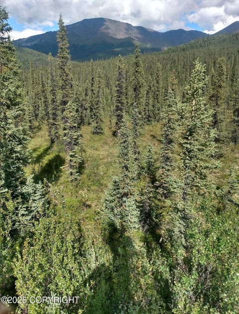 Photo of 000 Remote, Slana, AK 99586 (MLS # 25-12975) Photo of 000 Remote, Slana, AK 99586 (MLS # 25-12975)