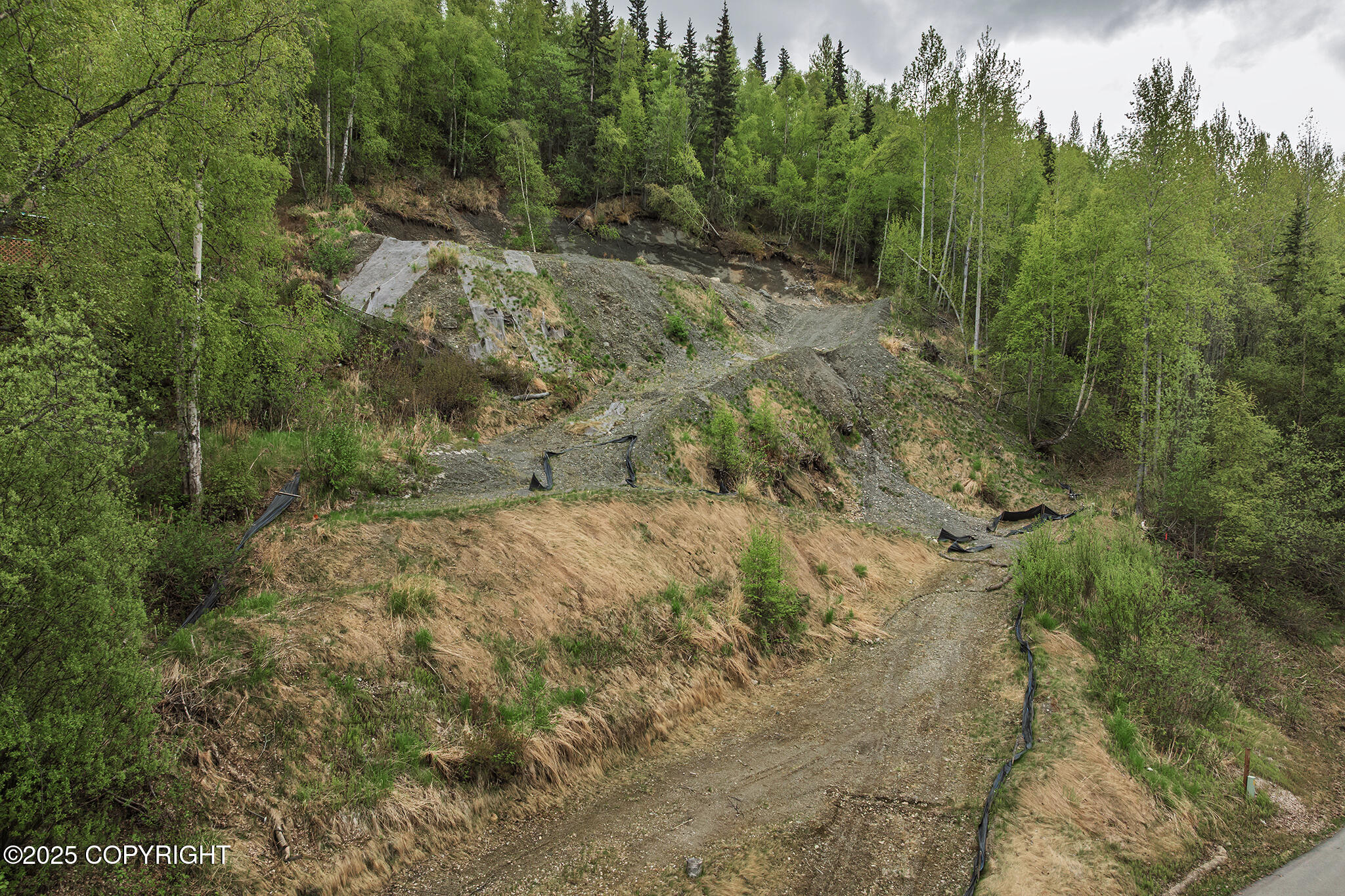 18734 Diana Circle, Chugiak, Alaska image 14