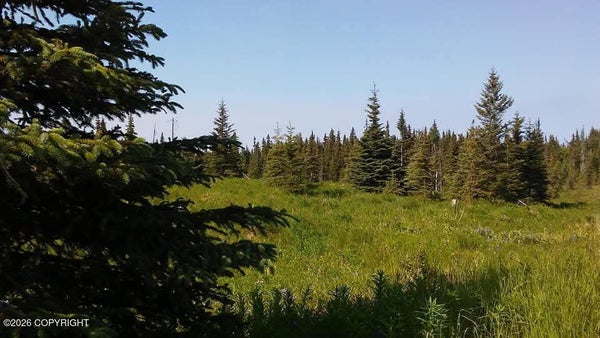 23369 CRAZY WOMAN ST, NINILCHIK, AK 99639 - Image cb2a77d6de8ea33248afbd91f4edc9c2/1352231310