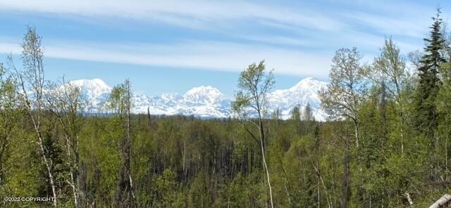 30592 Talkeetna Spur Road, Talkeetna, Alaska image 1