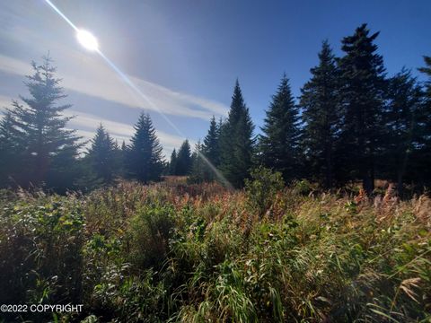 Vacant Land For Sale - 67761 Shavila Road<br/> Ninilchik, AK 99639