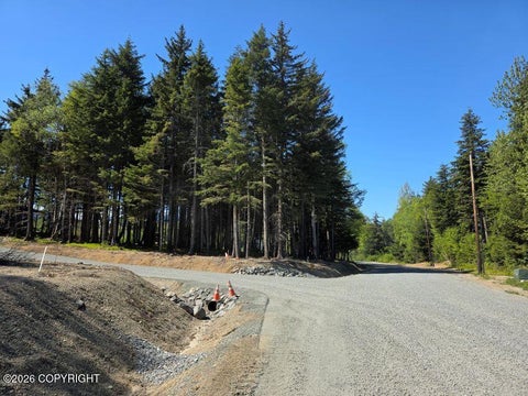 Photo of Lot 49 Major Road, Haines, AK 99827 (MLS # 26-12205)