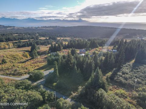 Vacant Land For Sale - 66711 Fry Court<br/> Homer, AK 99603